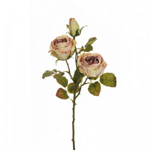 ROSA dry look silk X4 H55 RO - pink *