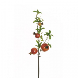 MELOGRANO ramo H70 ME - red yellow *