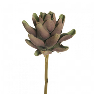 CARCIOFO D15 H55 CA - purple green*