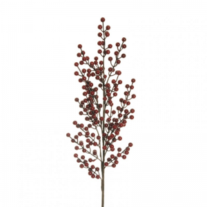 BACCA ILEX ramo X17 H94 - red *