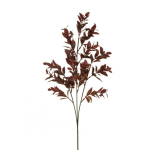 MIRTO ramo X3 H73 FO - burgundy *
