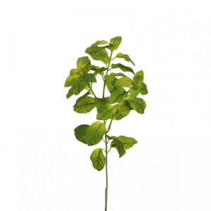 FOGLIA MENTA H33,5 CM fo - green *