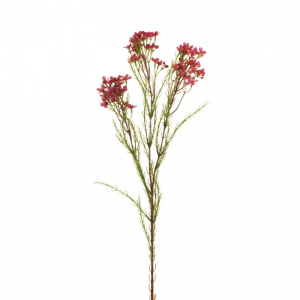 FIORE CERA ramo X3 H79 FC - dark/fucsia*
