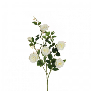 ROSA AUSTIN ramo X3 H87 RO - white*