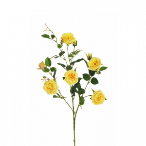 ROSA AUSTIN ramo X3 H87 RO-light yellow*