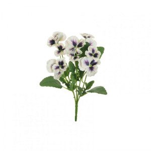 VIOLA DEL PENSIERO BUSH X5 H35 - cream*