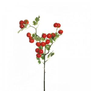 POMODORO ramo H81 PO - red *