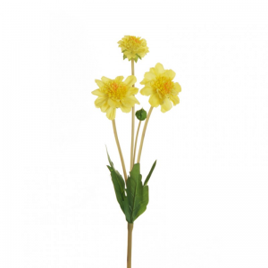 SCABIOSA ramo X3 H47 SC - yellow*
