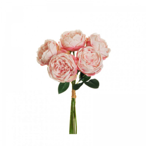 ROSA CABBAGE X5 H38 RO-l.pink/fuchsia *