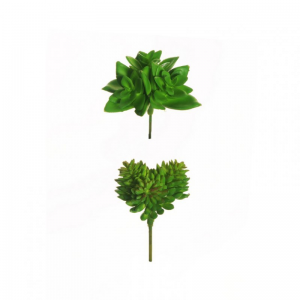 PIANTA GRASSA 2MOD D6 H12 PG - green*