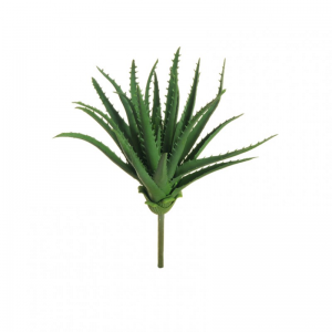 ALOE H32 PG - green*