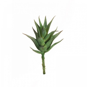 AGAVE D9 H20 PG - green*