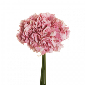 ORTENSIA Juliet X4 H35 OR -mauve pink *