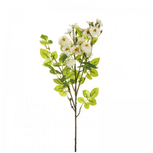 ROSA POMPON RAMO X3 H72 RO - white *
