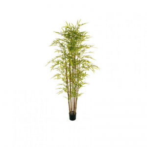 PIANTA BAMBOO h180 c/vaso D15 H12,8 *