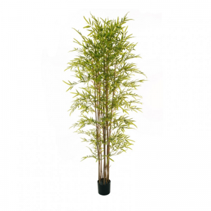 PIANTA BAMBOO H210 c/vaso D18 H17 *