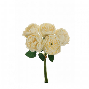 ROSA CABBAGE mazzo X5 H38 RO - ivory *