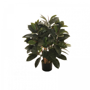 PIANTA ALBERO DELLA GOMMA H90-green*