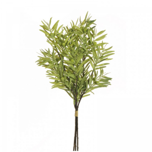 MAZZO PODOCARPUS X3 H49 PO-light green*
