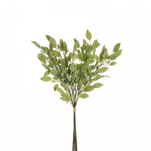PRUNO MAZZO X4 H59 PR - light green*