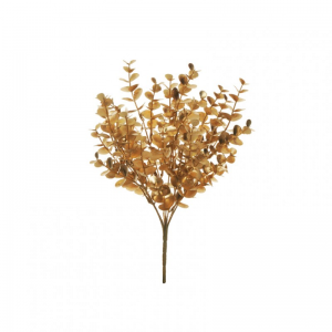 EUCALIPTO X7 H35 FN - gold
