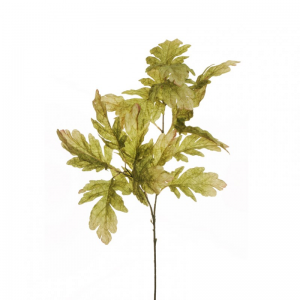RAMO FOGLIA QUERCIA H105 FO-light green*