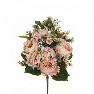 PEONIA BUSH X12 H54 BU - light pink *
