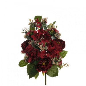 PEONIA BUSH X12 H54 BU - dark red *