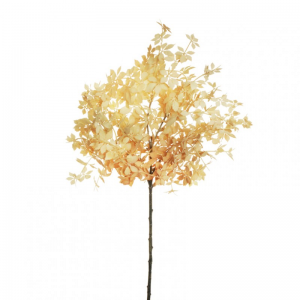 RAMO FOGLIA UVA AMERIC.H59 FO-cream*