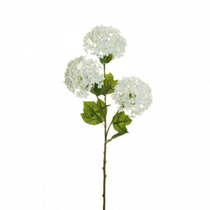 VIBURNO X3 H62 VI - white  *
