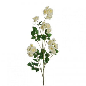 ROSA DOGWOOD ramo H97 RO - cream*