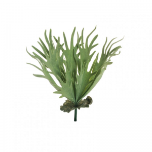 CORNA DI CERVO mazzo H49 BU - green*