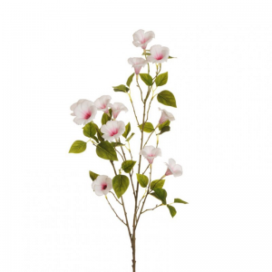 PETUNIA ramo H110 PE - white fucsia *