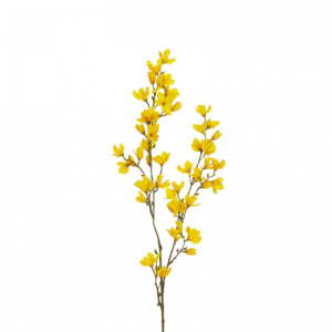 FORSIZIA ramo H95 FO - yellow *