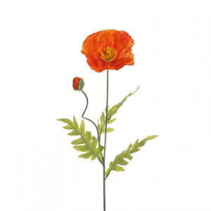 PAPAVERO X2 H72 PA - orange*