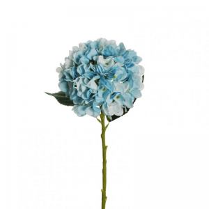 ORTENSIA Juliet H50 OR - light blue *