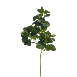 FOGLIA CLUSIA ramo X3 H72 FO - green*