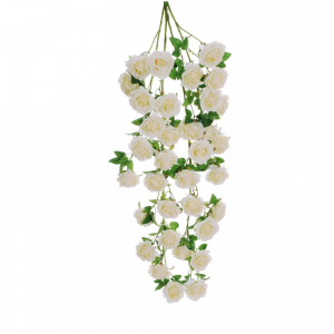 ROSA france CADENTE X4 H125 CD - cream*