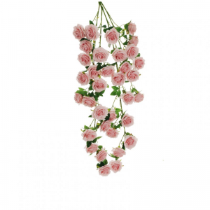 ROSA france CADENTE X4 H125 CD-ant.pink*