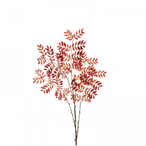 FOGLIA SORBUS X5 H143 FO - orange/red *