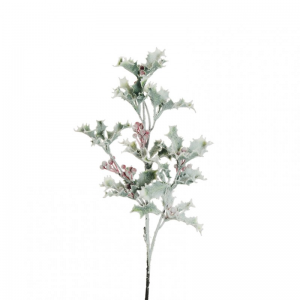 AGRIFOGLIO RAMO X3 H63 FN - white