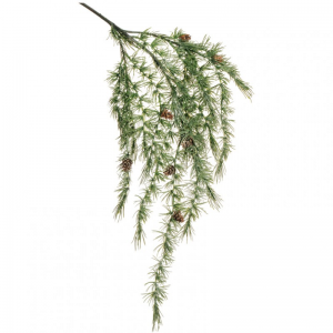 PINO LARICE CADENTE H116 PI-green/white