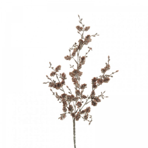 RAMO PIGNA X3 innev. H45 FN-brown/white