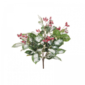 ROSA CANINA MAZZO innev.H47 FN-green/red