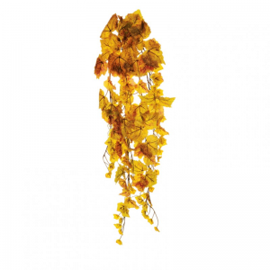 VITE CADENTE X6 H95 CD - green/yellow *