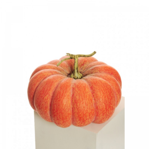 ZUCCA POLISTIROLO D38 H23-VERDURA orange