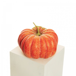 ZUCCA POLISTIROLO D31 H21-VERDURA orange