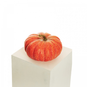 ZUCCA POLISTIROLO D25 H16-VERDURA orange