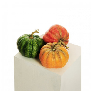ZUCCA POLIST.D16 H14 3ASS. - VERDURA