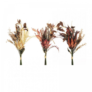 PROTEA mazzo X6 H48 PR - 3col.ass *